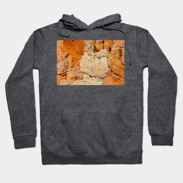 Bryce Canyon View 15 Hoodie by Rob Johnson Photography